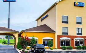 Comfort Inn Franklin Ky